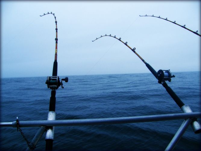 fishing-compliments.jpg