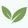 Viviente Editor