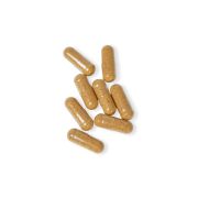 Mushroom Blend Supplement Capsules