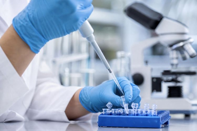 Scientist using a pipette over sample tubes in a research laboratory