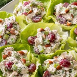 Lettuce cups filled with Greek yogurt chicken salad