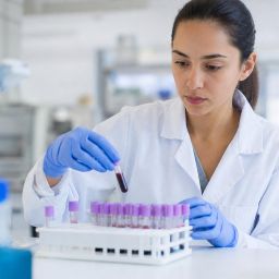Lab technician placing blood sample tubes into a rack in a research lab